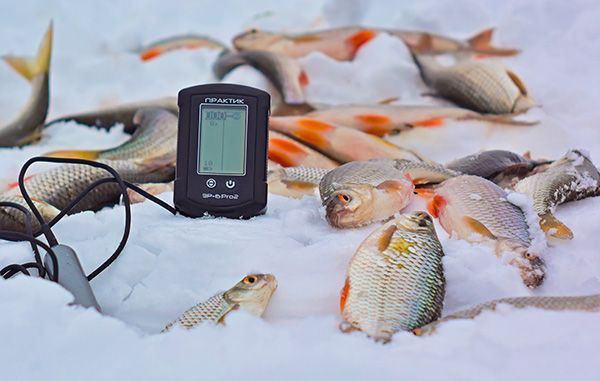Эхолот Практик ЭР-6Pro2 — залог богатого улова в зимнее время года