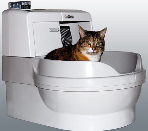 Как показывает практика, кошки довольно легко приучаются к регулярному пользованию инновационным туалетом