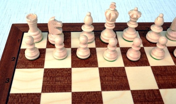Фигуры тонированной версии шахмат 